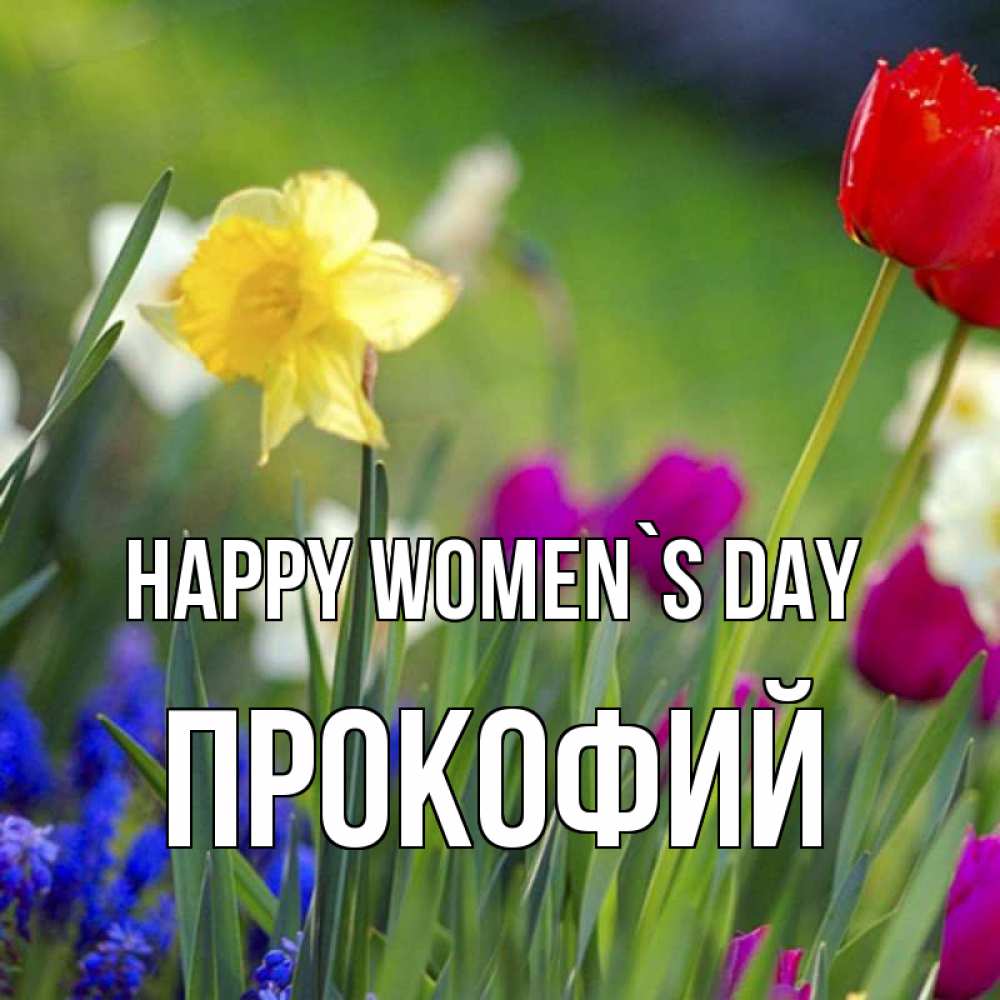 Greetings card с именем, Прокофий happy women`s day международный женский день 3 Greetings with text for free download 